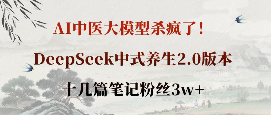 AI中医大模型杀疯了!DeepSeek中式养生2.0版本,十几篇笔记粉丝3w+-91搞钱