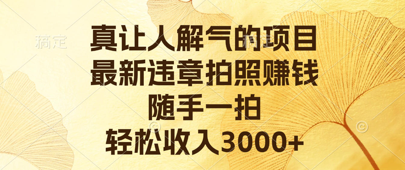 真让人解气的项目，最新违章拍照赚钱，随手一拍，轻松收入3000+-91搞钱