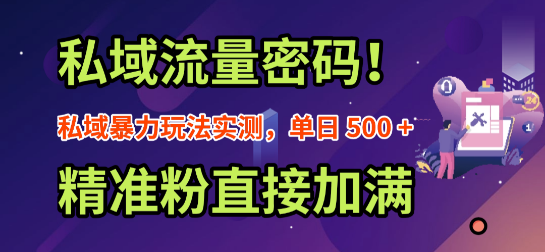 私域流量密码!私域暴力玩法实测,单日 500 + 精准粉直接加满-91搞钱